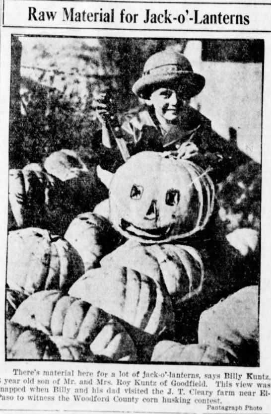 Raw Material for Jack-o-Lanterns